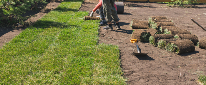 Service name